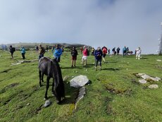 «20250616_102633.jpg»