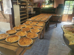 Les shions au qu'meau.